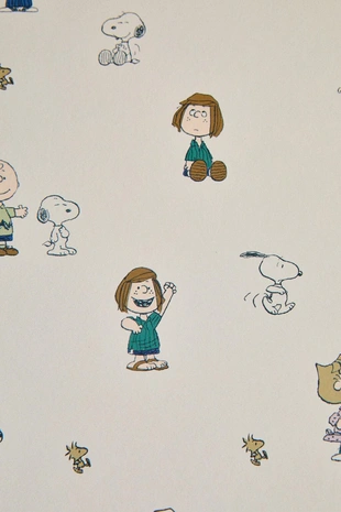 Набор детских папок PEANUTS™ (набор из 2 шт.)- Заказать в России