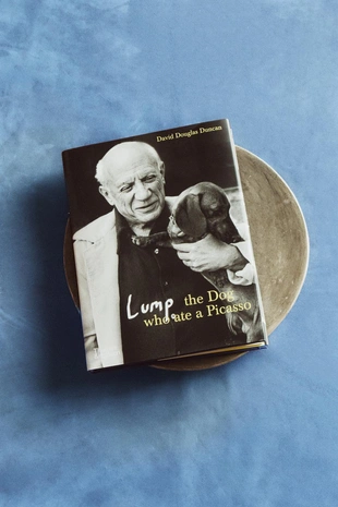 Деревянные прищепки (набор из 20 шт.)- Заказать в России