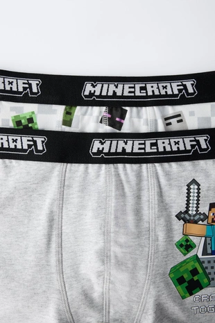 Трусы 6-14 лет / 2 шт. MINECRAFT © MOJANG AB. ™ - Заказать в России