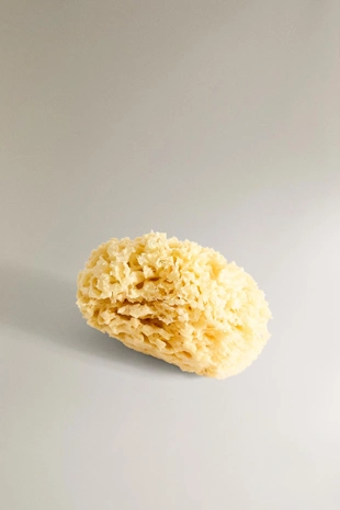 Купить Zara Губка для ванны