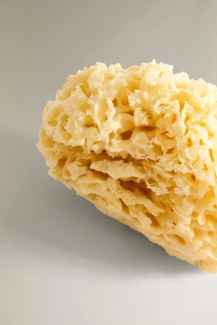 Light beige | 6535/489/052 - Zara Губка для ванны