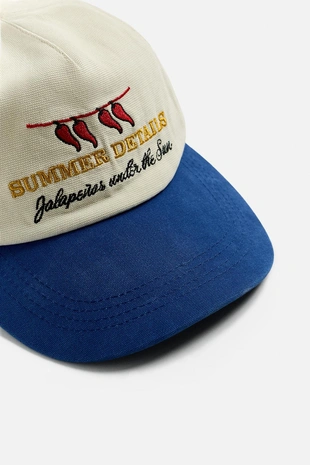 Кепка с комбинированной вышивкой- Заказать в России