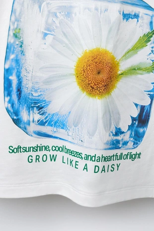 Футболка с принтом «льдинки»- Заказать в России