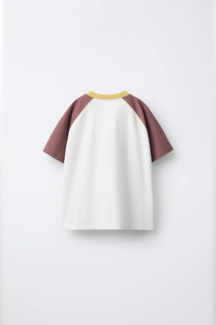 Футболка с контрастными рукавами реглан- Заказать в России