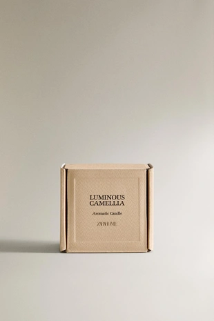 (150 г) ароматическая свеча LUMINOUS CAMELLIA- Заказать в России