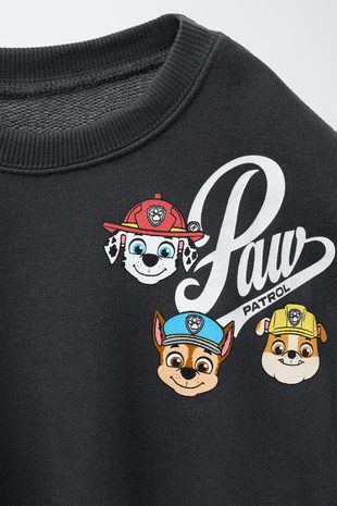 Толстовка с принтом PAW PATROL™- Заказать в России