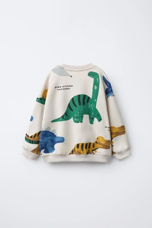Толстовка с принтом «динозавры» - Заказать в России