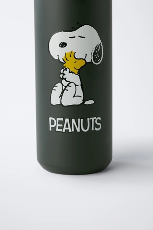 Бутылка из нержавеющей стали SNOOPY PEANUTS™- Заказать в России