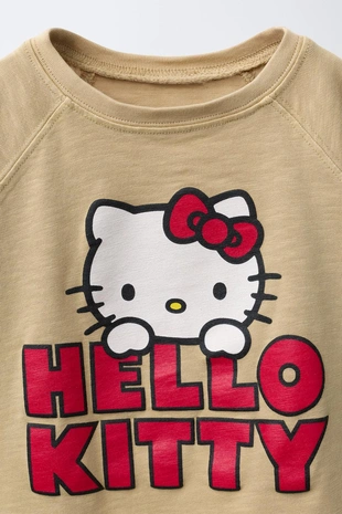 Футболка с принтом HELLO KITTY ©- Заказать в России
