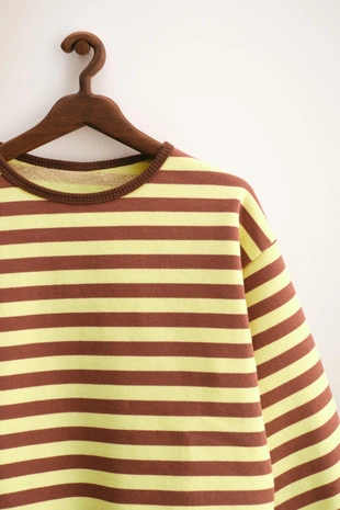 Chocolate | 1037/552/717 - Zara ZARA TIMELESS - полосатая толстовка