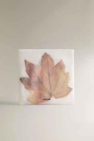 Набор бумажных салфеток-листьев (упаковка из 20 штук)- Заказать в России