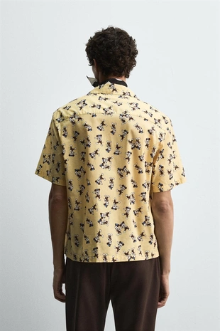 Рубашка MORTY + FERDY HARRY LAMBERT FOR ZARA X DISNEY- Заказать в России