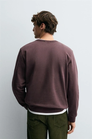 Reddish | 3443/360/609 - Zara Базовая толстовка с круглым вырезом