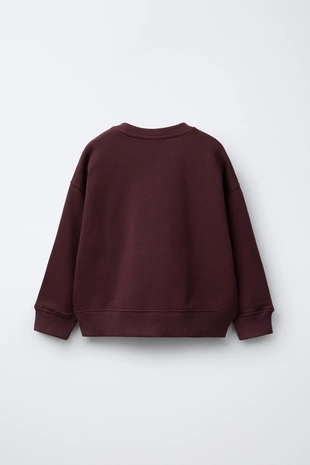 Купить Zara Толстовка с принтом собаки