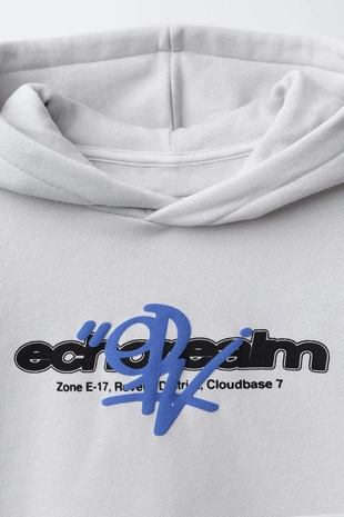 Ice | 6224/766/805 - Zara Худи с принтом