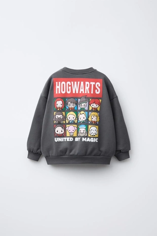 Толстовка HARRY POTTER ™ - Заказать в России
