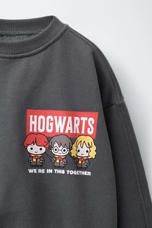 Толстовка HARRY POTTER ™ - Заказать в России