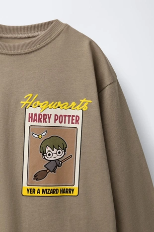 Light brown | 7878/538/730 - Zara Лонгслив HARRY POTTER ™
