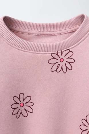 Mid-pink | 1880/627/645 - Zara Толстовка с принтом