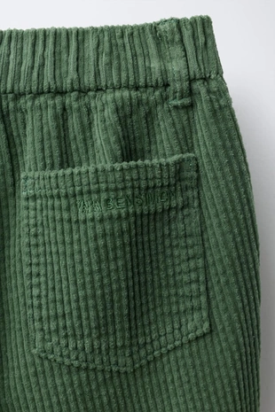 Вельветовые брюки STRAIGHT BENSIMON ® X ZARA- Заказать в России