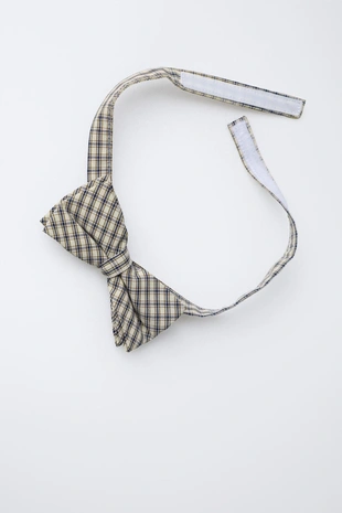 Рубашка со съемной бабочкой- Заказать в России