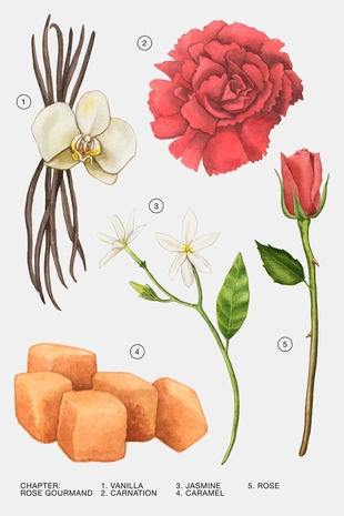 Парфюмированная вода - ROSE GOURMAND 80 мл / 2,71 унции - Заказать в России