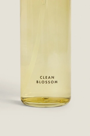 (200 ML) опрыскиватель диффузор CLEAN BLOSSOM - Заказать в России