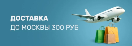 Доставка Zara в Москву 300 рублей