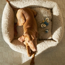 Товары Zara - Для домашних животных