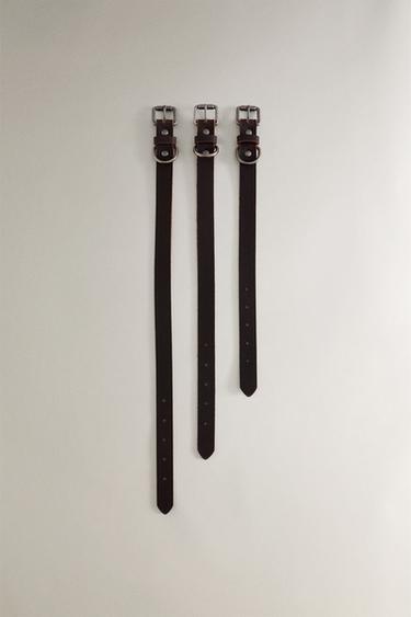 Zara Кожанный ошейник для собак купить с доставкой.