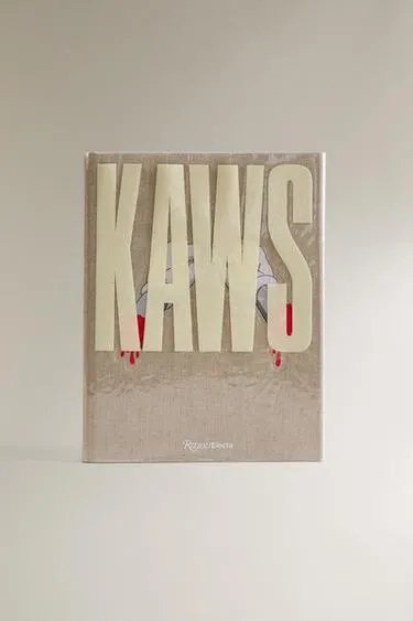 Книга KAWS