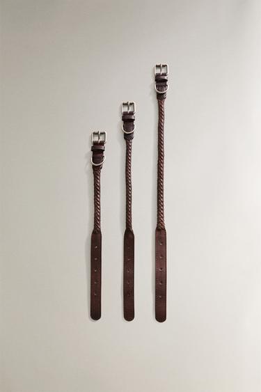 Zara Ошейник для собак из плетёной кожи купить с доставкой.