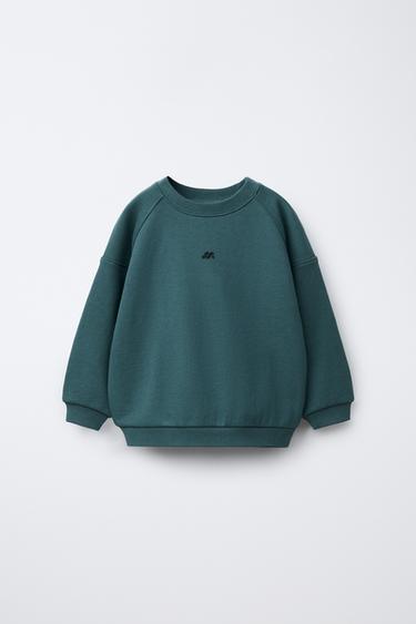 Zara Толстовка с логотипом купить с доставкой.