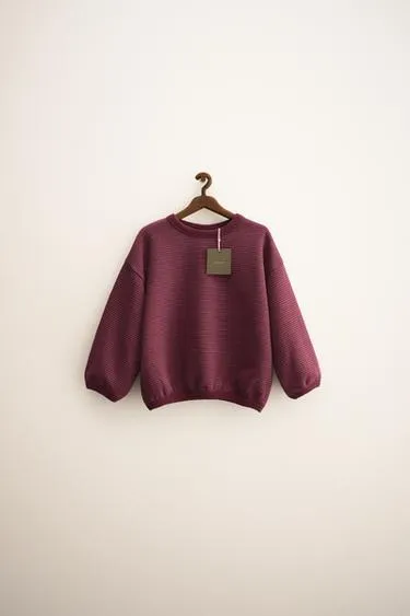 ZARA TIMELESS - толстовка в тонкую полоску