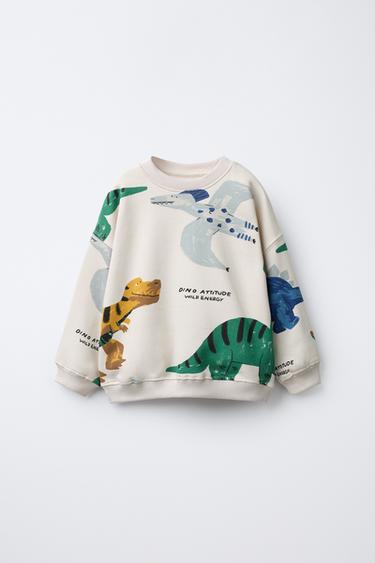 Zara Толстовка с принтом «динозавры» купить с доставкой.