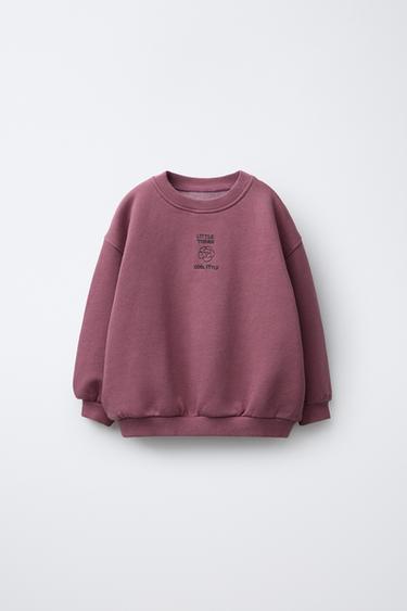 Zara Толстовка с вышивкой купить с доставкой.