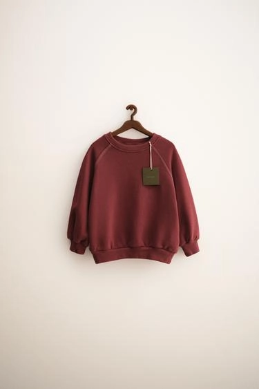 Свитшот ZARA TIMELESS - реглан