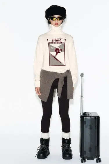 Чемодан для ручной клади с замком безопасности коллекция SKI- Заказать в России