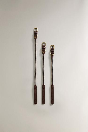 Zara Ошейник для собак с цветным шнуром купить с доставкой.