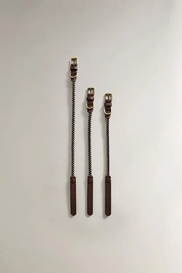 Ошейник для собак с цветным шнуром