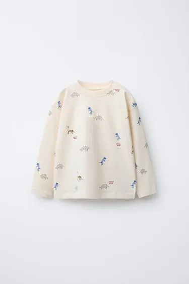 Футболка с принтом динозавров- Заказать в России