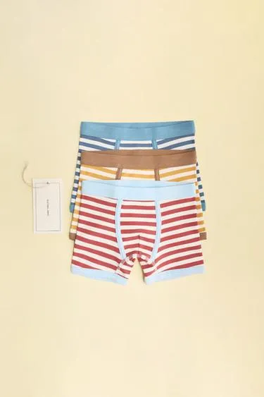 ZARA TIMELESS - набор из трех трусов-боксеров в полоску