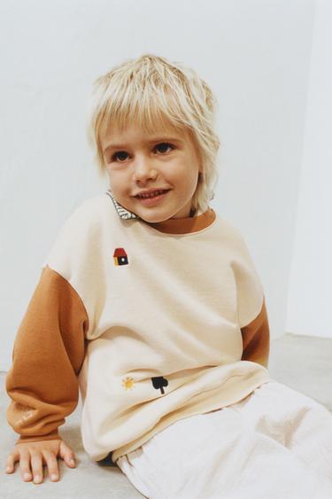 Zara Толстовка колор-блок с вышивкой
