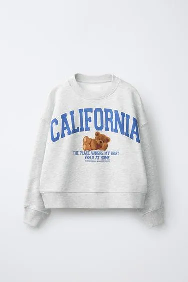 Толстовка с текстом и медведем- Заказать в России