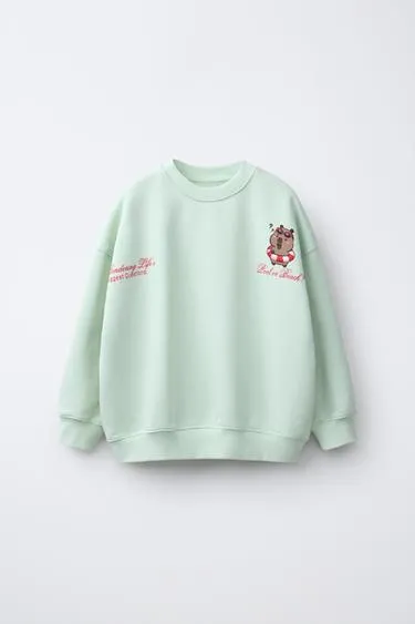 Толстовка с принтом «капибара Capyfun ©»- Заказать в России