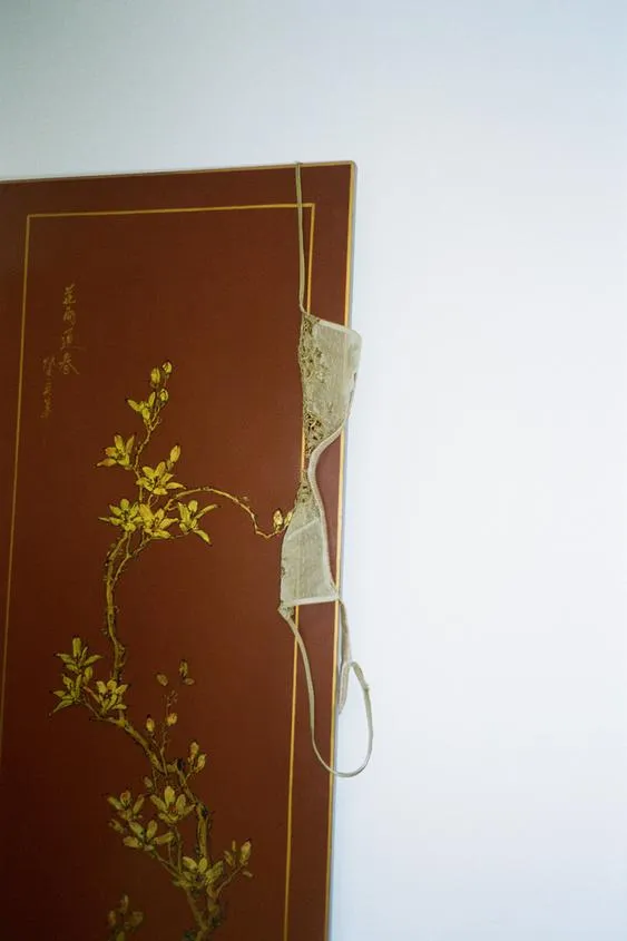 Бралетт с треугольными чашками и кружевом