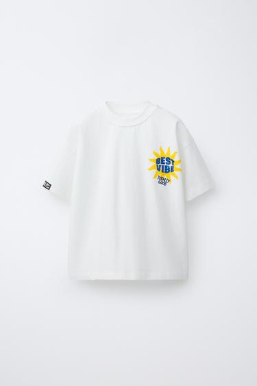 Zara Футболка с принтом SURFER купить с доставкой.