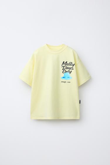 Zara Футболка с принтом «мороженое» купить с доставкой.