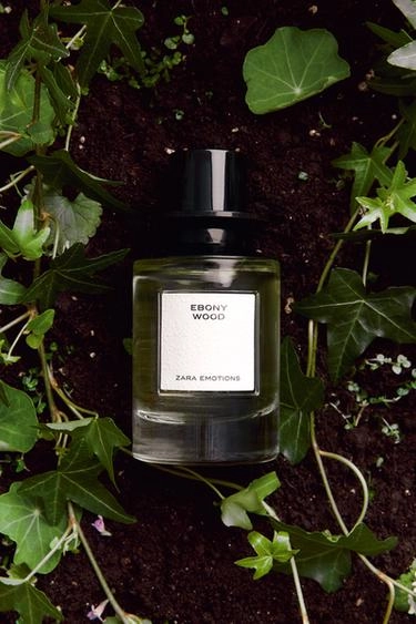 Духи EBONY WOOD EDP 100 мл