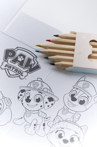 Zara PAW PATROL + цветные карандаши EDC 150 мл / 5.07 фл. унц. купить с доставкой.